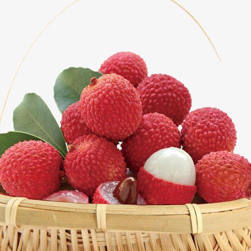 1592877459902922.jpg u=3896718043,2671348093&fm=26&gp=0.jpg