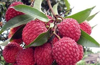 1592877524539580.jpg u=3809549518,477920969&fm=26&gp=0.jpg