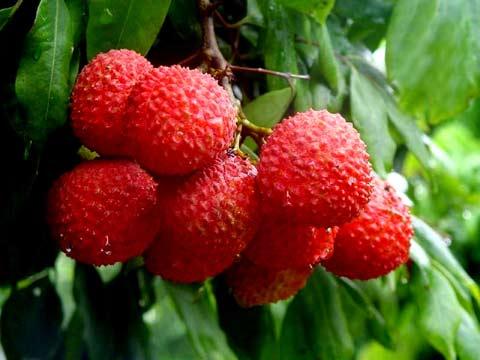 1592964073565956.jpg u=3220978258,2745846441&fm=26&gp=0.jpg