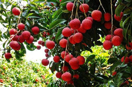 1593481771954557.jpg u=1034042829,577221988&fm=26&gp=0.jpg